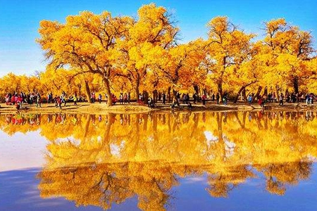 {賭波}(十一月去哪里旅游最好)